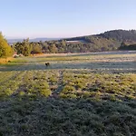 Sudecka Przystan Lodge *