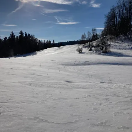 Sudecka Przystan * Duszniki Zdrój