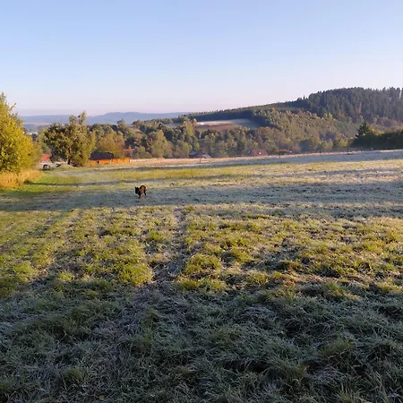 Sudecka Przystan Lodge *