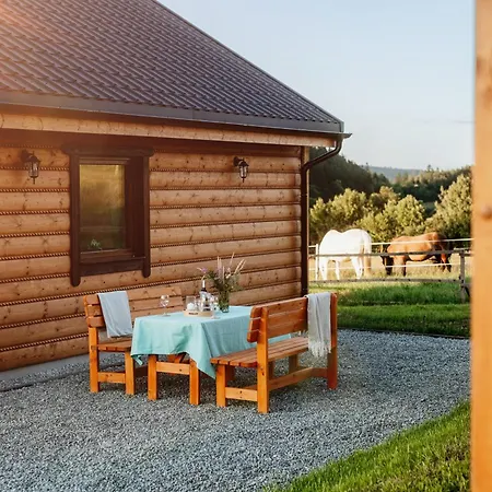Lodge Sudecka Przystan