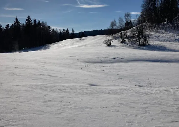 Sudecka Przystan * Duszniki Zdrój