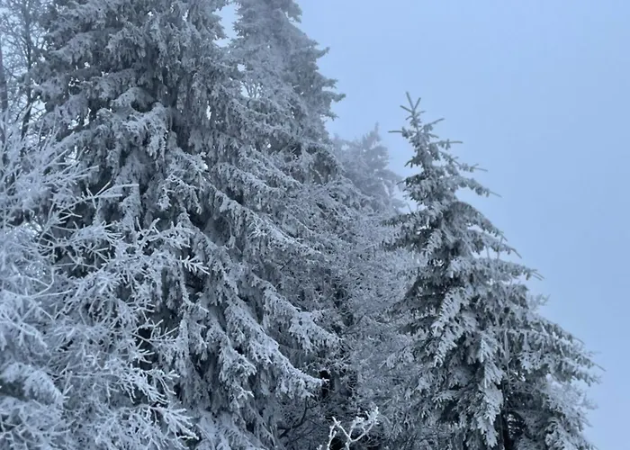 Sudecka Przystan * Duszniki Zdrój