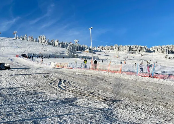 Lodge Sudecka Przystan